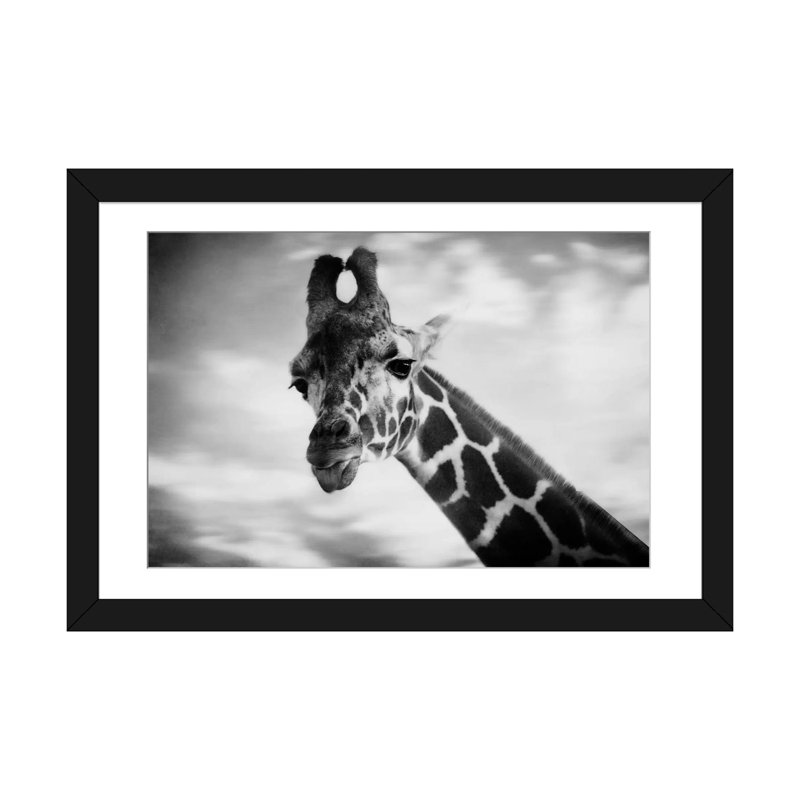 Giraffe i, reproduction de photo sur toile tendue, H 16 po x l 24 po x P 1 po, Papier d'art encadré noir, Blanc