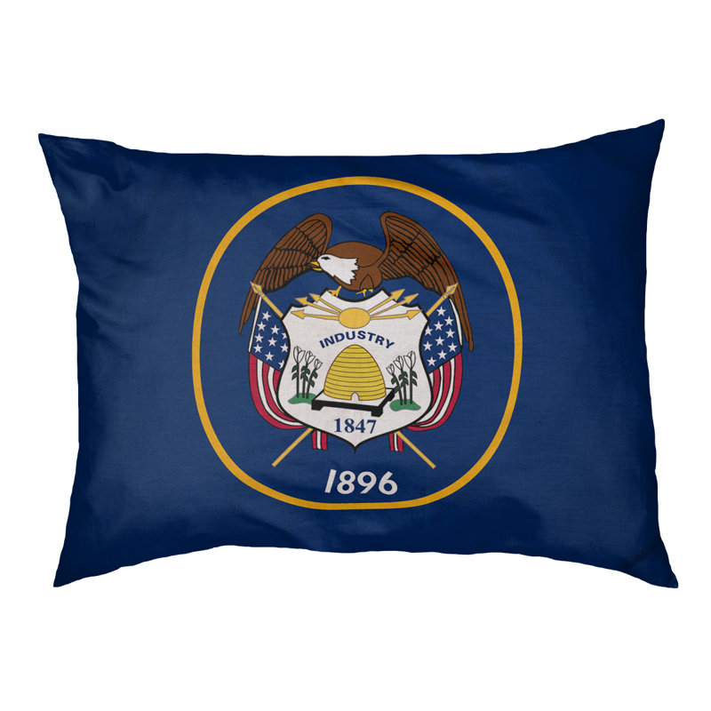 Coussin créateur drapeau Burien, L 42 po x l 52 po, Marron foncé