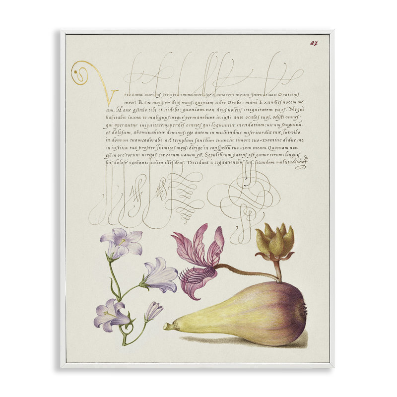 Art de giclée classique de plantes de chalet par Melissa Wang, Giclée encadrée blanc bord de mer, H 20 po x l 16 po