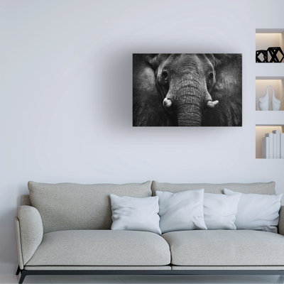 Art sur toile, éléphant
