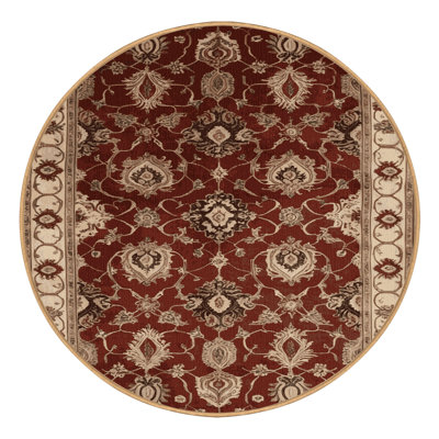 Machine Washable French Brown Area Rug