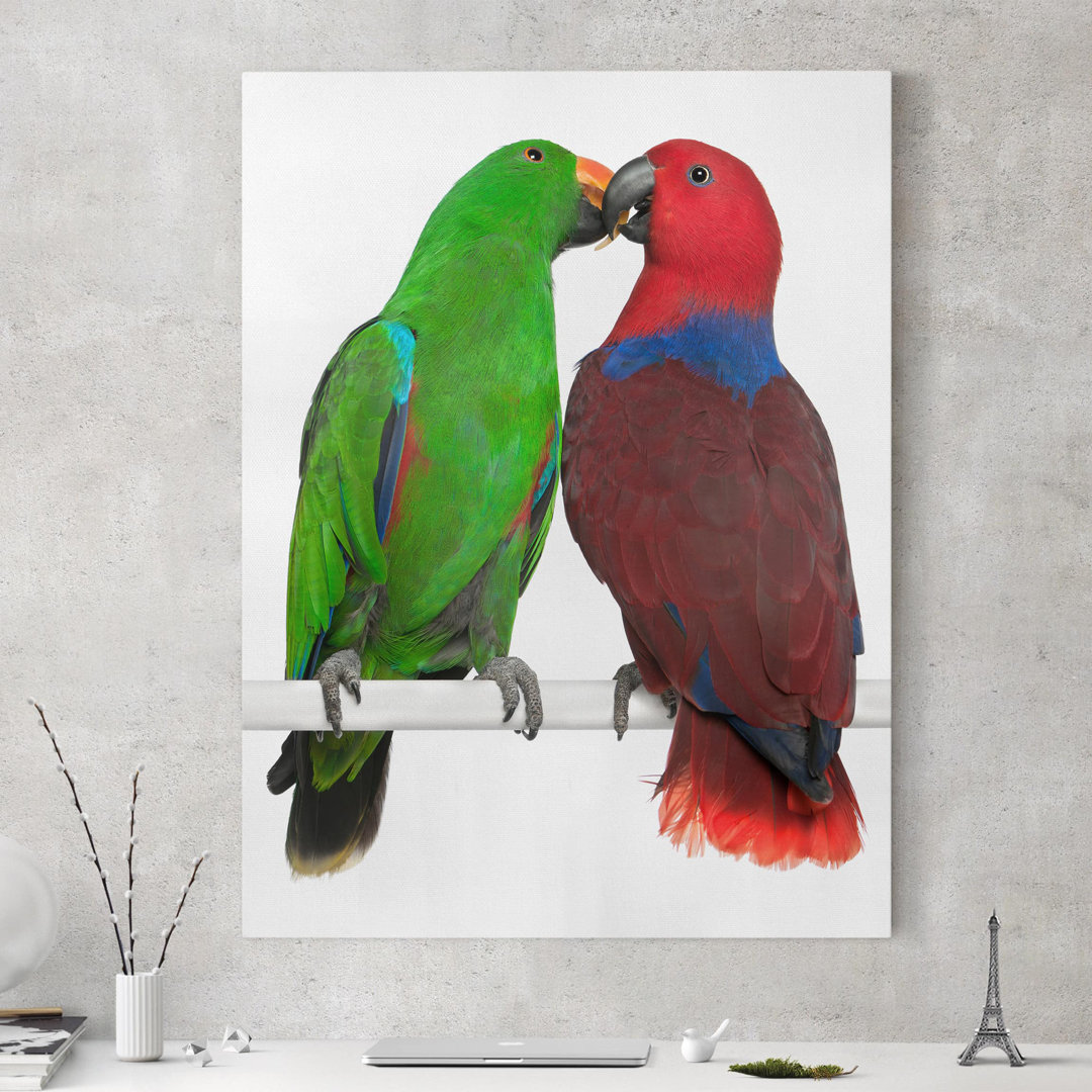 Leinwandbild Parrots in Love