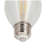 6.5 H19 3000 Bulb