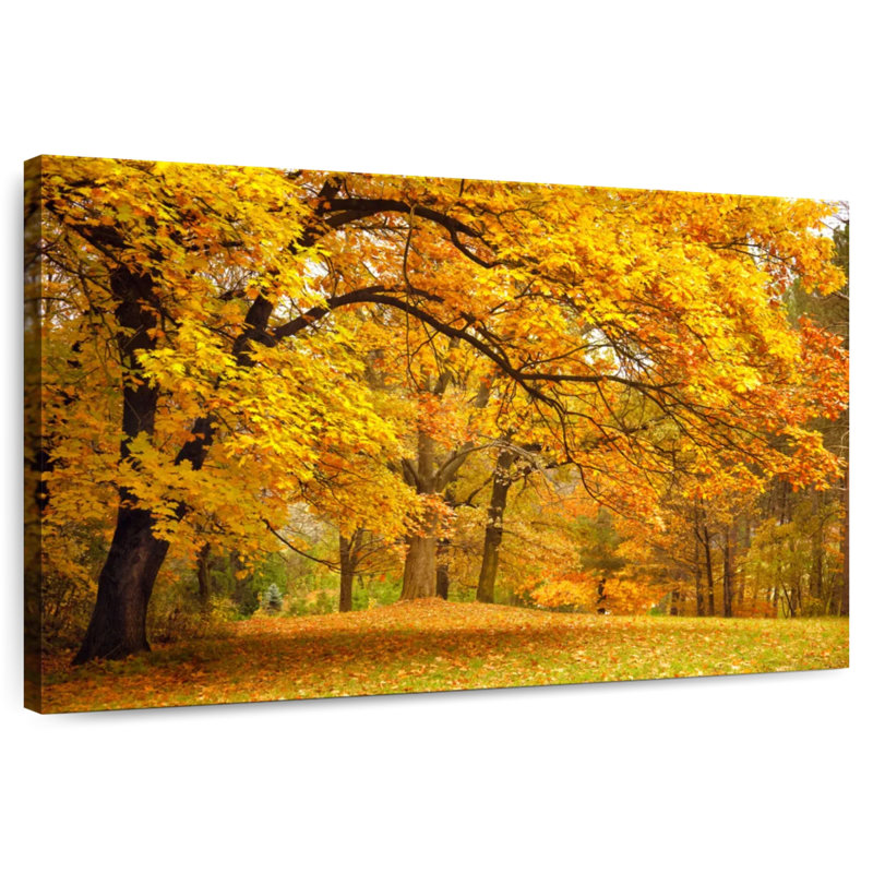 Feuillage d'automne Alvord, H 32 po x l 48 po