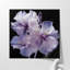 Gracieux motif de pétales mauves 2-1741320298-1741320290