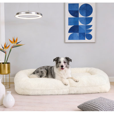 5-Position Adjustable Convertible Dog Bed