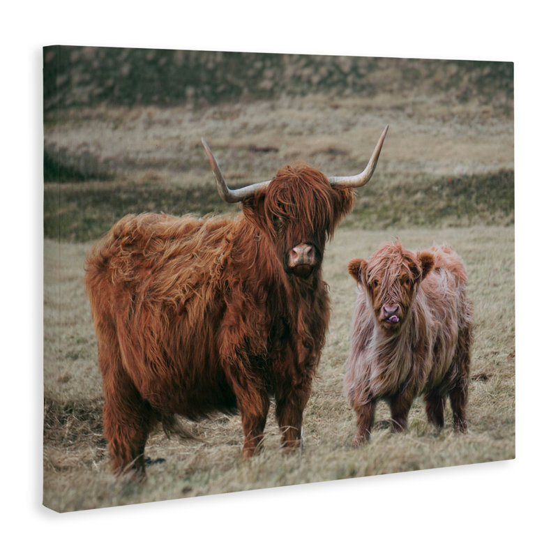 «Mom and Baby Cow Canvas», conception par Lettré et doublé, H 30 po x l 40 po
