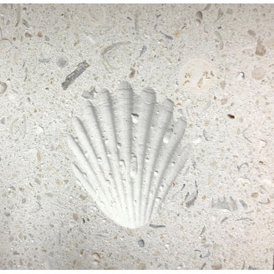 6" x 6" SeaStone Decoartive Accent Tile in White