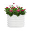 Boîte à fleurs surélevée en métal 2PCS