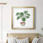 Boho Greenery II - peinture encadrée-171494726-171494725