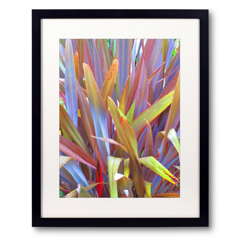 Épées de la nature par Drew Gaffney, H 21,25 po x l 17,25 po x P 0,875 po