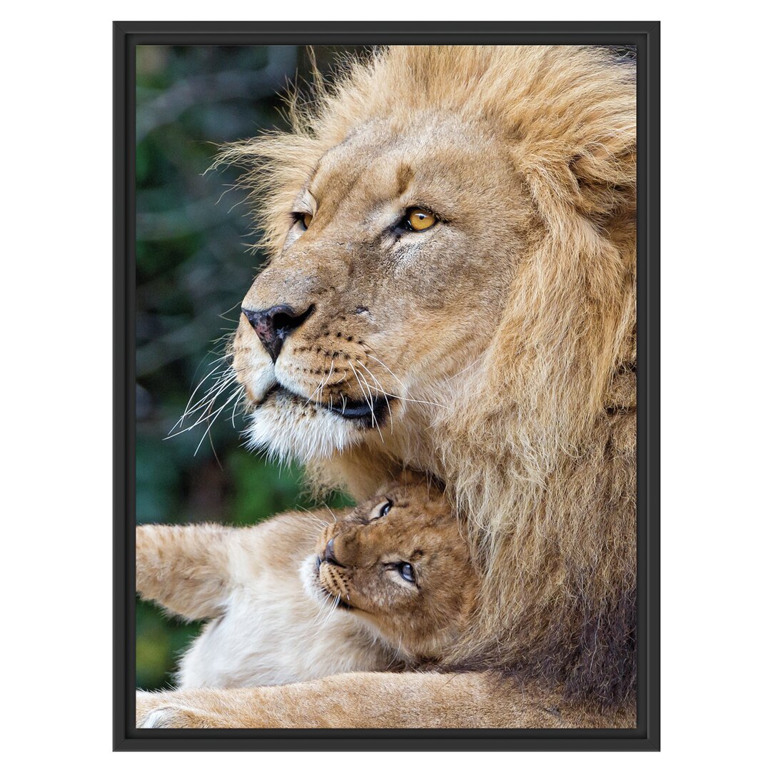 Gerahmtes Wandbild liebevoller Löwe mit Jungtier