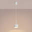 Aura 1 - Light Brushed Nickel Pendant-1416319409