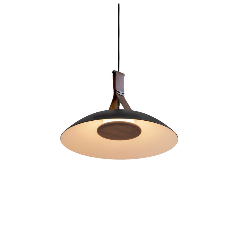 Volo 18" LED Pendant, Brown, Brushed Brass/White, 2700K