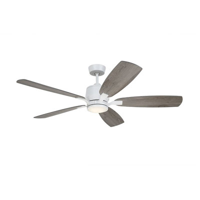 Ceiling Fan with LED Lights