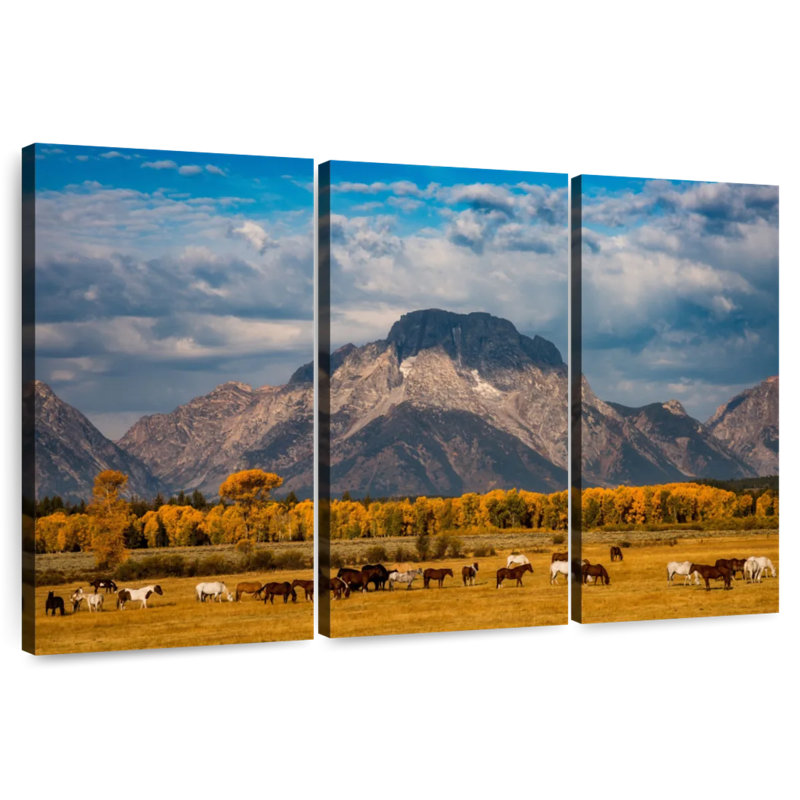 Alvord Teton Horse Ranch, H 32 po x l 50 po
