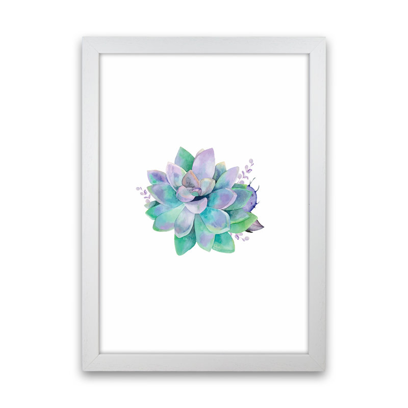 Aqua Succulent - Print, White Framed, 34cm H x 25cm W x 3cm D