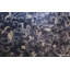 One-of-a-Kind Runner 11'1" X 24'6" Area Rug