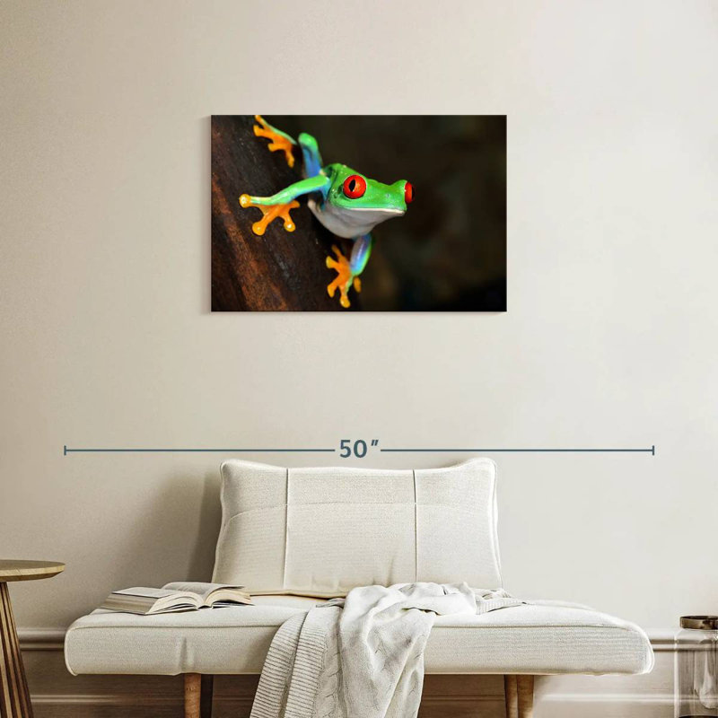 Brampt Tiny Red-Eyed Tree Frog, 20" H x 30" W