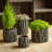 Calabro Pot Planter-1670128531