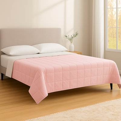 Weighted Throw Blanket