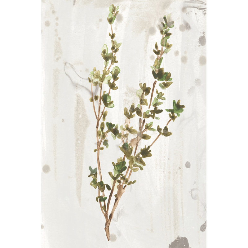 «Antique Earthtone Herbs II» par June Erica Vess - peinture sur toile tendue, H 30 po x l 20 po x P 1,25 po