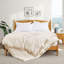 Couverture en duvet et fibre de duvet d'oie, édredon toutes saisons avec bordure en satin - Coquille douce et respirante - à superposer - Lavable à la machine-102305822-102305821