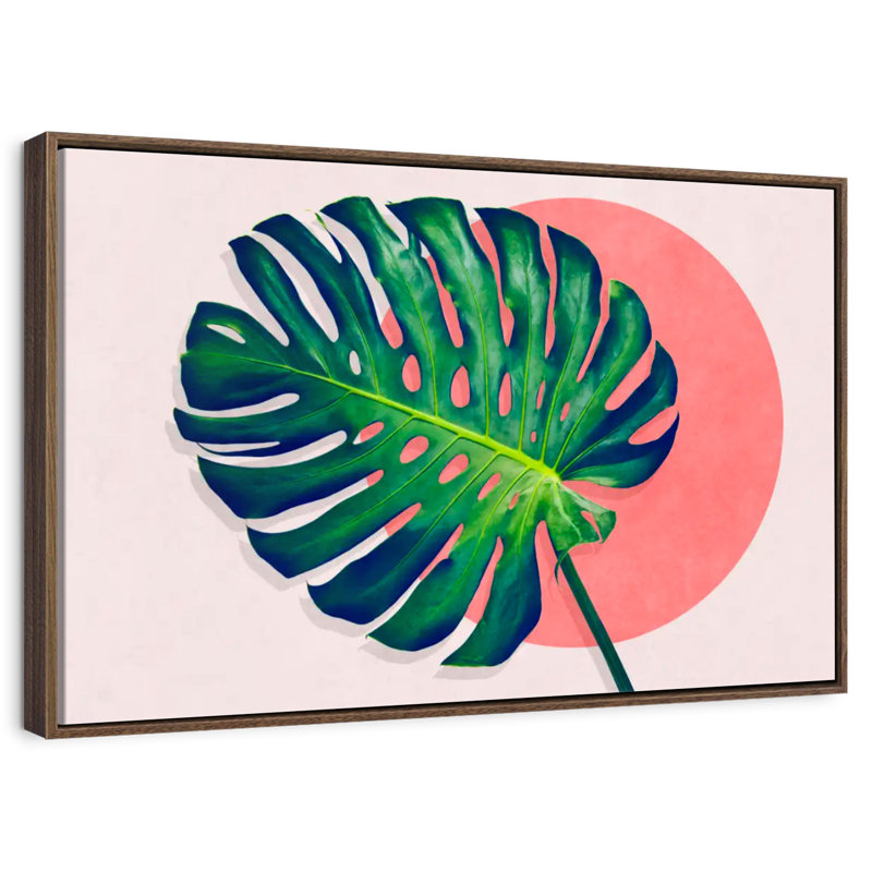 Monstera Paradise, Cadre flottant noyer, 31 po x 21 po