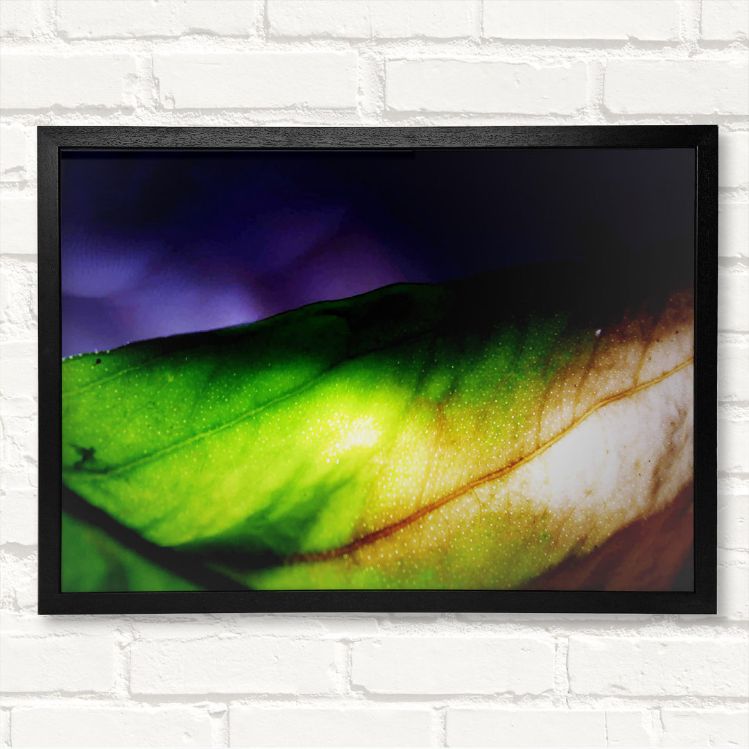 Vibrant Green Leaf Light - Druck