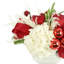Arrangements floraux en pot Johane
