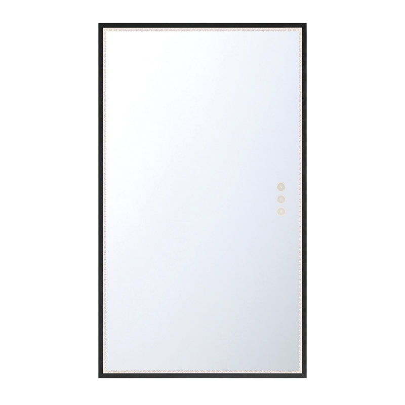 Miroir Cerissa, Noir, 54 po x 32 po