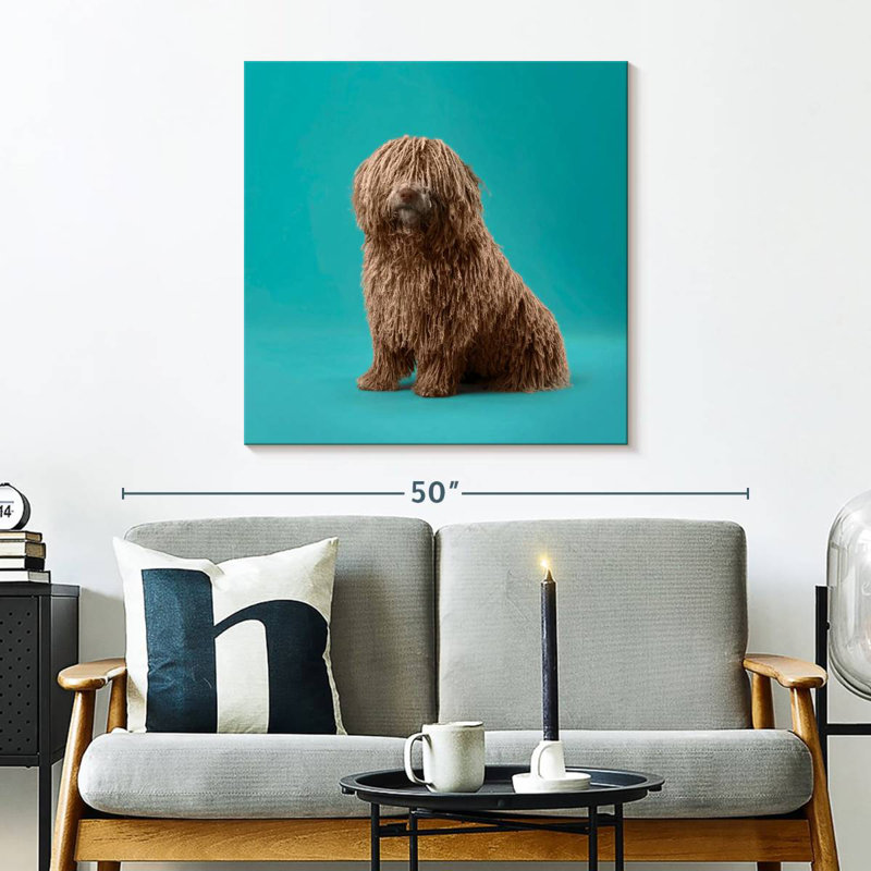 Crowle Komondor Dog, H 30 po x l 30 po