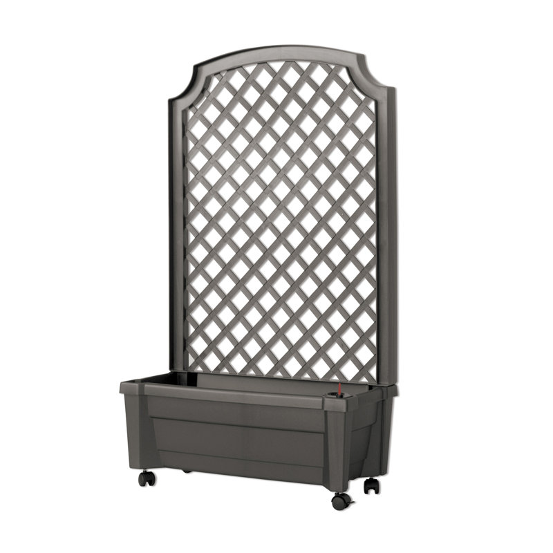 Brandun Self-Watering Plastic Indoor / Outdoor Planter Box, Anthracite