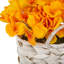 Bouquet d'hortensias dans un panier blanc-232009615