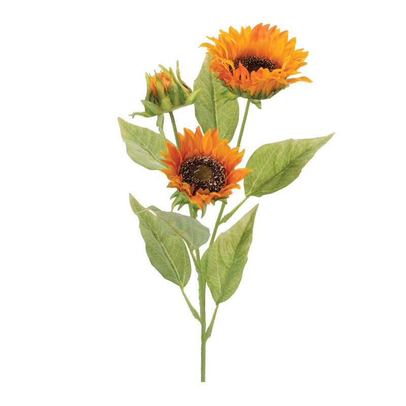 Jet d'automne tournesol