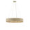 Tetterby 6 - Light Chandelier