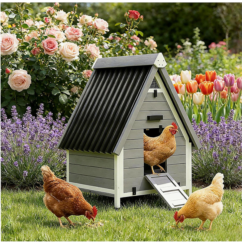 Maison pour animaux de compagnie, poulailler en bois, poulailler