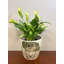 Pot d'intérieur / extérieur en bambou Bamboo Blooms