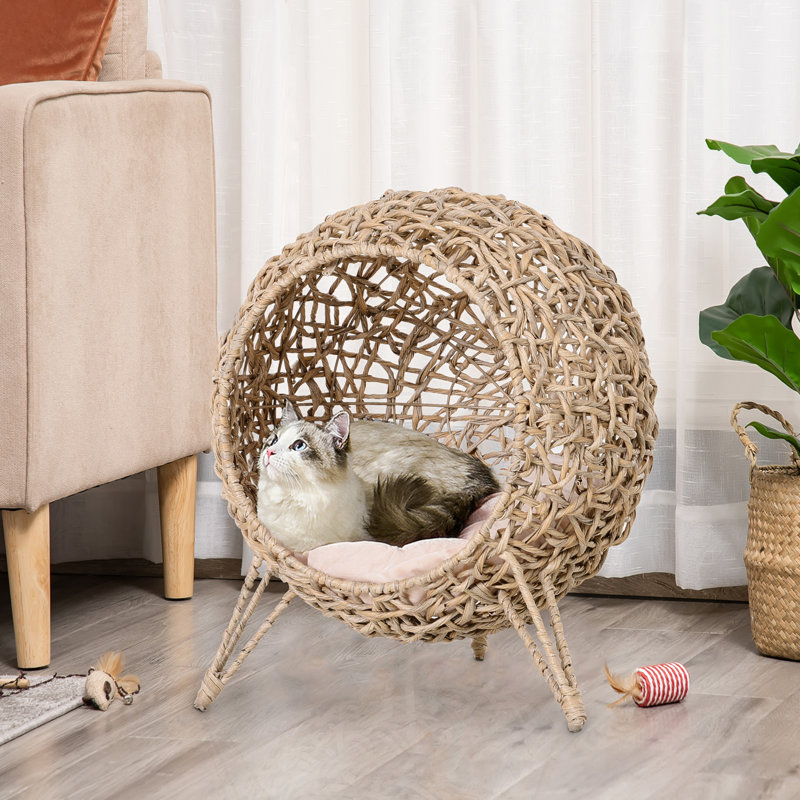 Lit pour chat avec tapis Caw