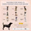 Niche pour chien Lininger-1348003575-1445992040