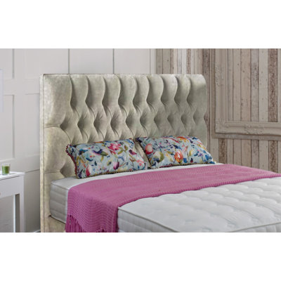 Westbrook Upholstered Velvet Headboard