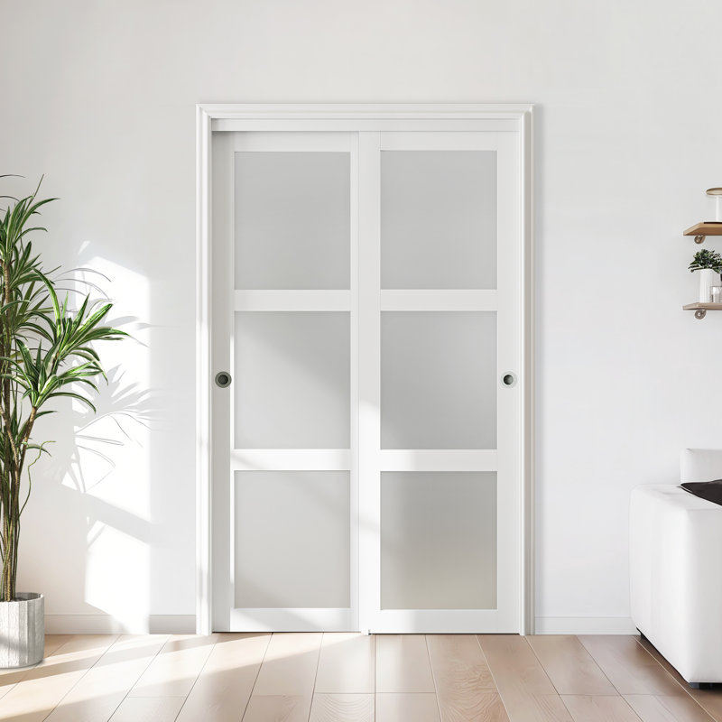 Frosted Glass Sliding Closet Doors With Installation Hardware Kit, 60" x 80"