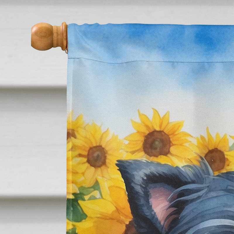 Alaskan Malamute in Sunflowers House Flag, Affenpinscher