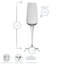 Aurum Champagne Flutes - 230ml-53918751
