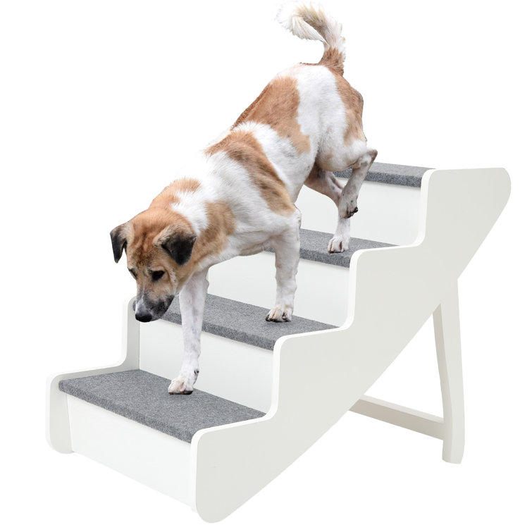 Dianaliz Foldable 4 Steps Pet Stairs
