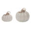  Glass 7.5 in. Off-White Harvest Swirl Pumpkins Set of 2