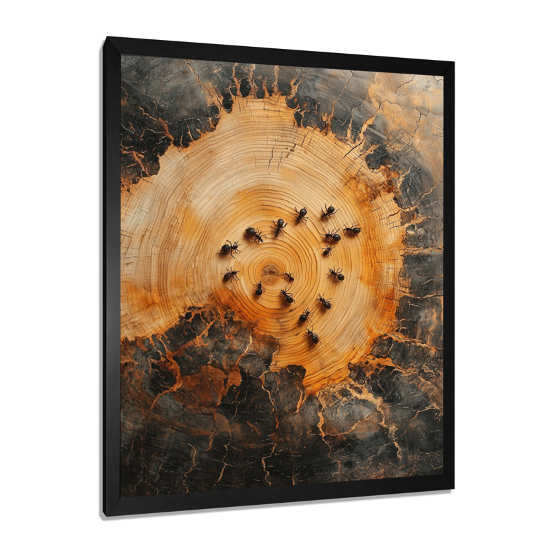 Nicholson - animaux, impressions sur toile, Noir, noir, noir, noir, H 20 po x l 12 po