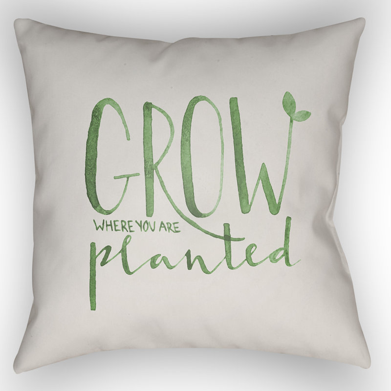 Coussin intérieur/extérieur, H 20 po x l 20 po x P 4 po