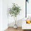 Anasta faux ficus avec pot de fleurs ovale blanc-632575342