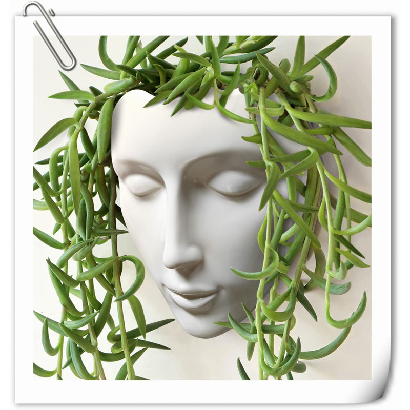 Kalesia Planter, White